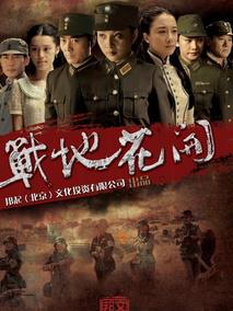《战地花开》共32集_2012大陆电视剧全集剧情文案