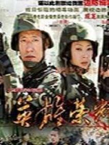 《英雄荣耀》共26集_大陆电视剧全集剧情文案