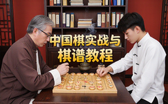 中国象棋教程-棋手适用-实战技巧经典棋谱解析系统资料