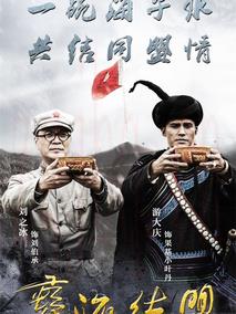 《彝海结盟》共36集_大陆电视剧全集剧情文案
