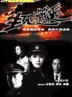 《生死邂逅》共20集_大陆电视剧全集剧情文案