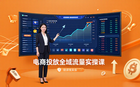 电商商品投放计划搭建课-电商从业者-实操教学-视频资料