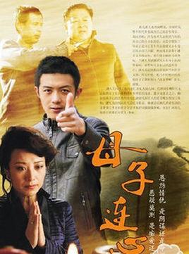 《母子连心》共24集_2014大陆电视剧全集剧情文案