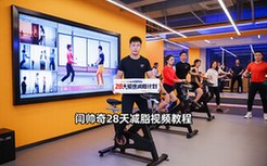 B站闫帅奇28天极速减脂计划-适合减脂人群-完整高清视频教程