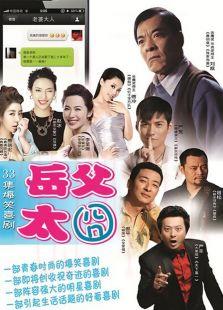 《岳父太囧》共33集_内地电视剧全集剧情文案