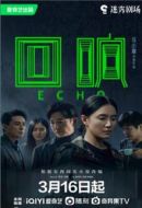 《回响》共13集_其他电视剧全集剧情文案