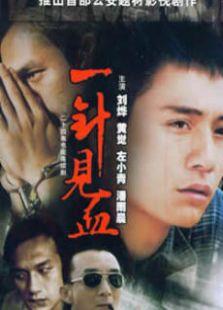 《一针见血》共集_内地电视剧全集剧情文案