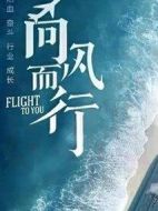 《向风而行》共39集_2022大陆电视剧全集剧情文案