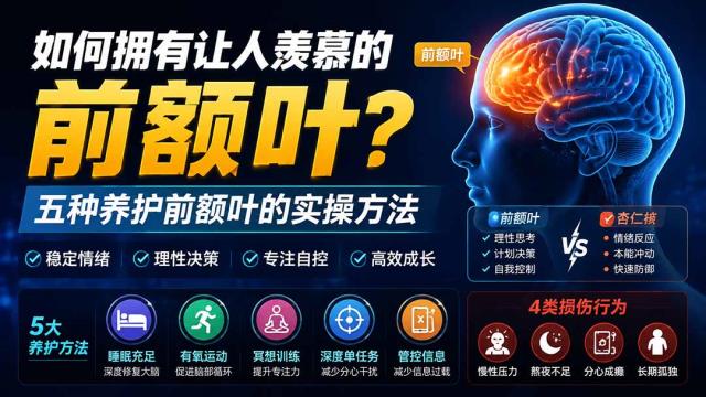 付费文章：如何拥有让人羡慕的前额叶？五种养护前额叶的实操方法