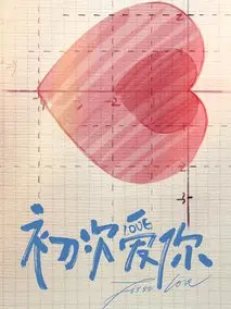 《初次爱你》共24集_其他电视剧全集剧情文案