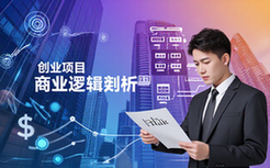 创业项目剖析资料：创业者适用含商业逻辑分析深度内容
