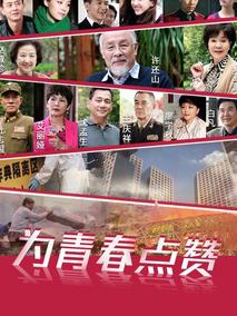 《为青春点赞》共32集_2017大陆电视剧全集剧情文案