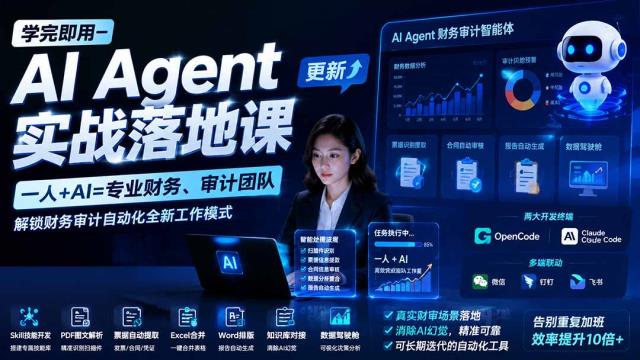 学完即用—AIAgent实战落地课-更新：一人AI=专业财务、审计团队，解锁财务审计自动化全新工作模式
