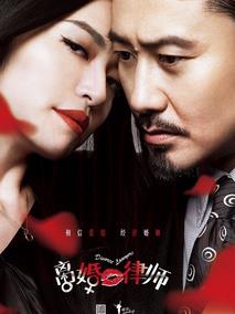 《离婚律师》共46集_2014大陆电视剧全集剧情文案
