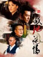 《水月洞天》共31集_内地电视剧全集剧情文案