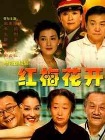 《红梅花开》共28集_大陆电视剧全集剧情文案