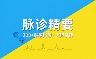 中医脉诊全集课程 脉象图解诊断技巧脉学大师经验教学