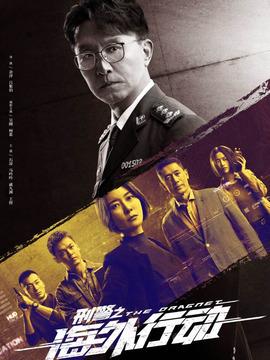 《刑警之海外行动》共38集_2021年中国内地电视剧全集剧情文案
