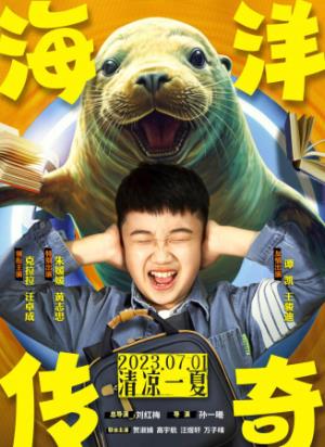 《海洋传奇》男孩与海豚心灵感应，跨物种友谊拯救行动