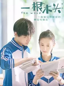 《一根木头》共24集_2020大陆电视剧全集剧情文案