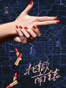 《北辙南辕》共30集_大陆电视剧全集剧情文案