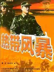 《热带风暴》共20集_2006大陆电视剧全集剧情文案