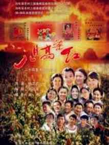 《八月高粱红》共24集_大陆电视剧全集剧情文案