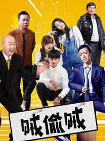 《贼偷贼》共15集_2017大陆电视剧全集剧情文案