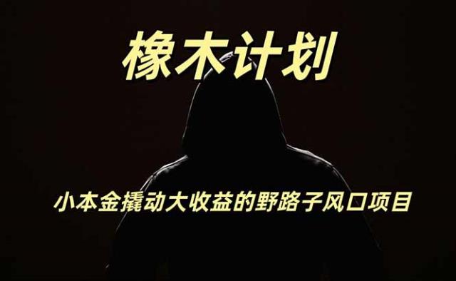 橡木计划，小投入撬动高回报的风口野路子项目，一天投入2小时左右