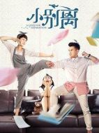 《小别离》共45集_大陆电视剧全集剧情文案