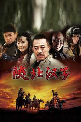 《陕北汉子》共30集_2011大陆电视剧全集剧情文案