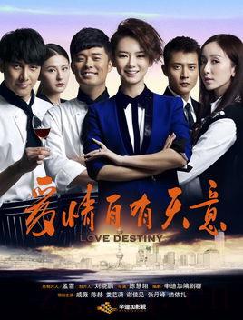 《爱情自有天意》共84集_2013大陆电视剧全集剧情文案