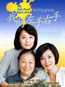 《我的左手右手》共32集_2013大陆电视剧全集剧情文案