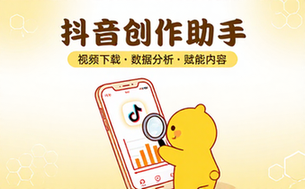 抖音运营辅助工具 支持内容创作视频下载与数据分析