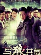 《与狼共舞》共40集_大陆电视剧全集剧情文案