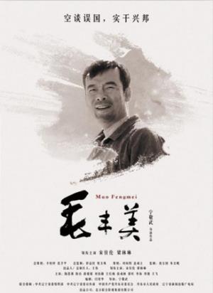 《毛丰美》村官拍桌县长，进京告状，带领穷山沟逆天改命