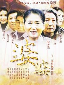 《婆婆》共22集_大陆电视剧全集剧情文案