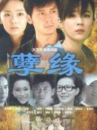 《孽缘》共25集_大陆电视剧全集剧情文案