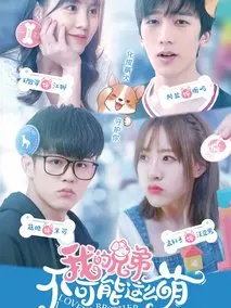《我的兄弟不可能这么萌》共15集_其他电视剧全集剧情文案