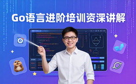 Go语言工程师进阶培训课程-技术人员适用-资深讲解-视频资料