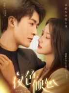 《夜色倾心》共24集_其他电视剧全集剧情文案