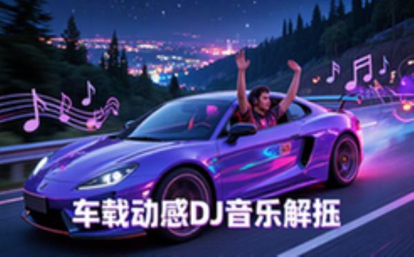 车载DJ音乐资源-出行人群-动感舞曲-收听解压-音频文件