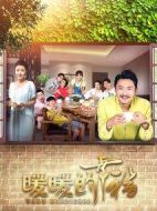 《暖暖的幸福》共35集_2018大陆电视剧全集剧情文案
