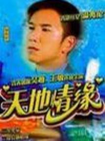 《天地情缘》共21集_2015大陆电视剧全集剧情文案