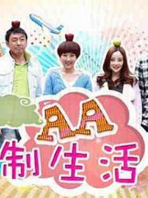 《AA制生活》共38集_2012大陆电视剧全集剧情文案