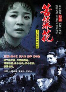 《苦菜花》共20集_内地电视剧全集剧情文案