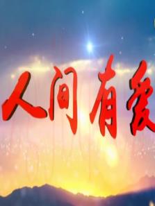 《港湾灯火》共30集_2026年中国香港电视剧全集剧情文案