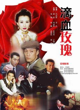《滴血玫瑰》共22集_大陆电视剧全集剧情文案