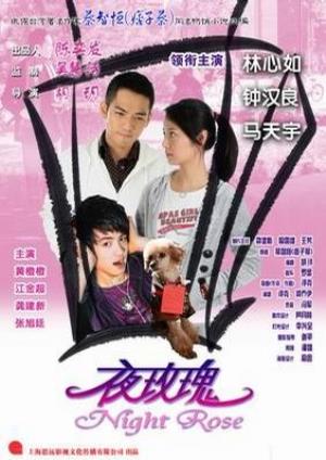 《夜玫瑰》深夜洗衣房里的“夜玫瑰”，治愈心底的念念不忘