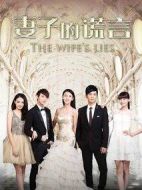 《妻子的谎言》共52集_大陆电视剧全集剧情文案